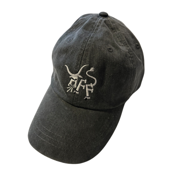 AFF Longhorn Hat